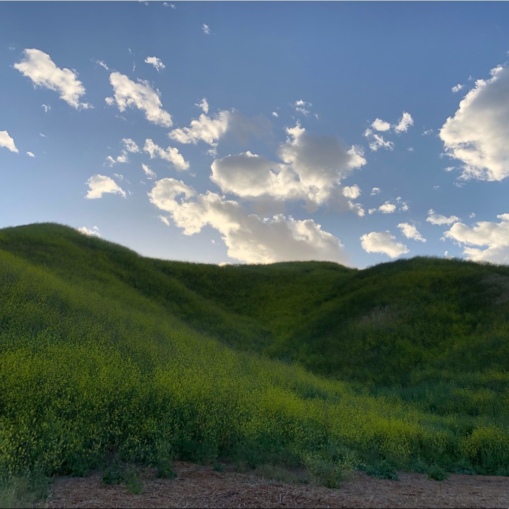 Meet your Posher, A!